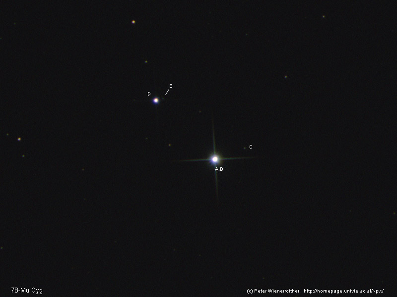 78-Mu Cyg