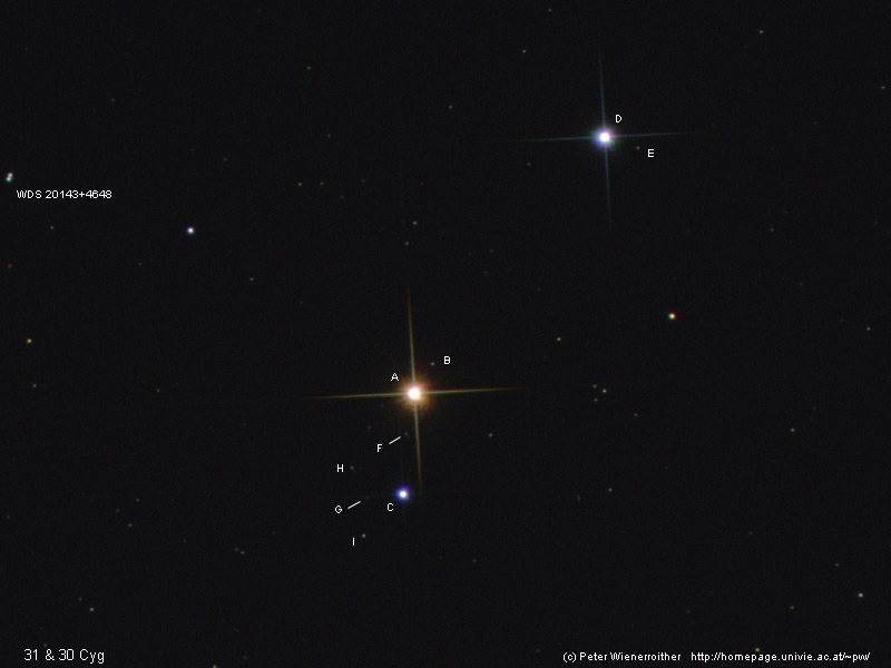 31&30 Cyg