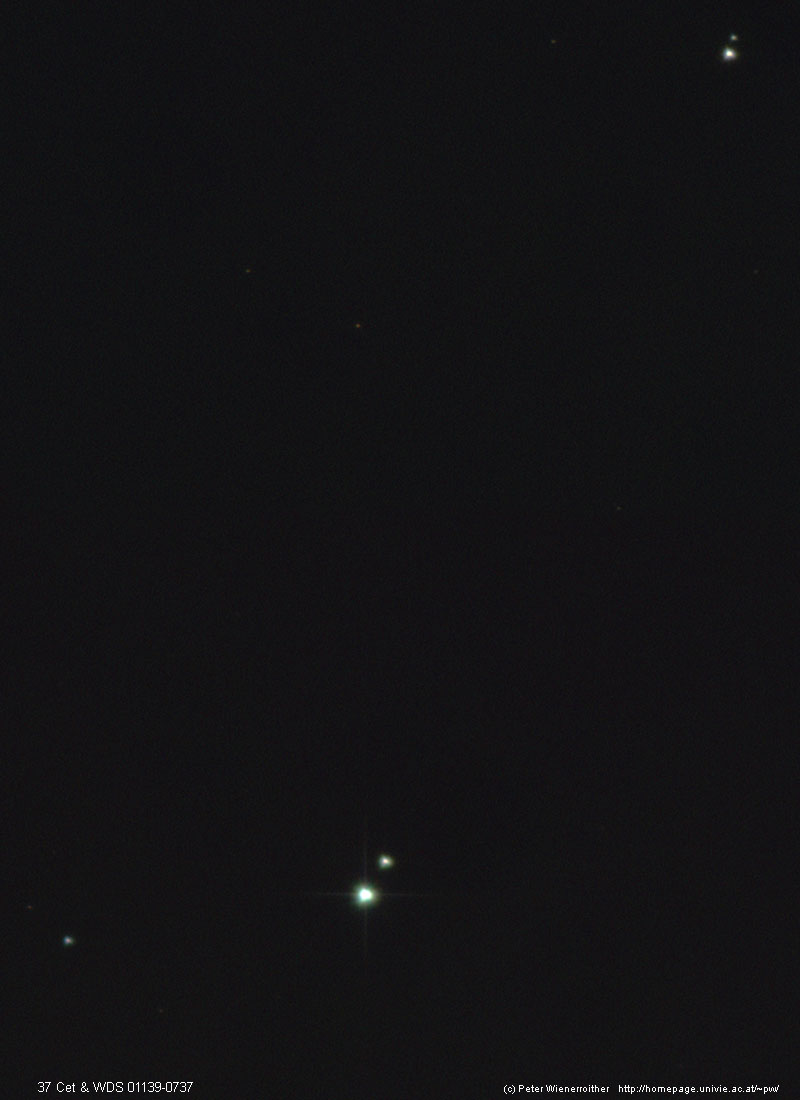 37 Cet