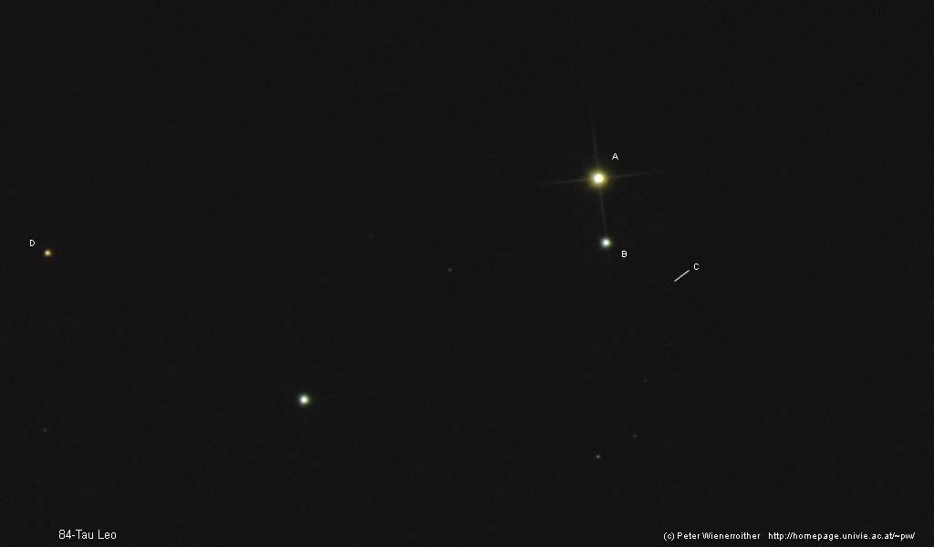 84-Tau Leo