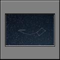 Little bear/Ursa Minor [a42431.jpg]